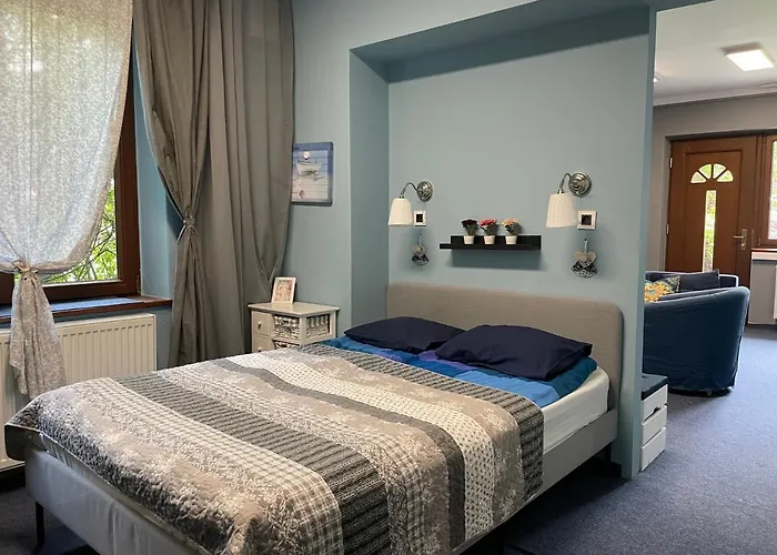 Zielarki ויסלאו